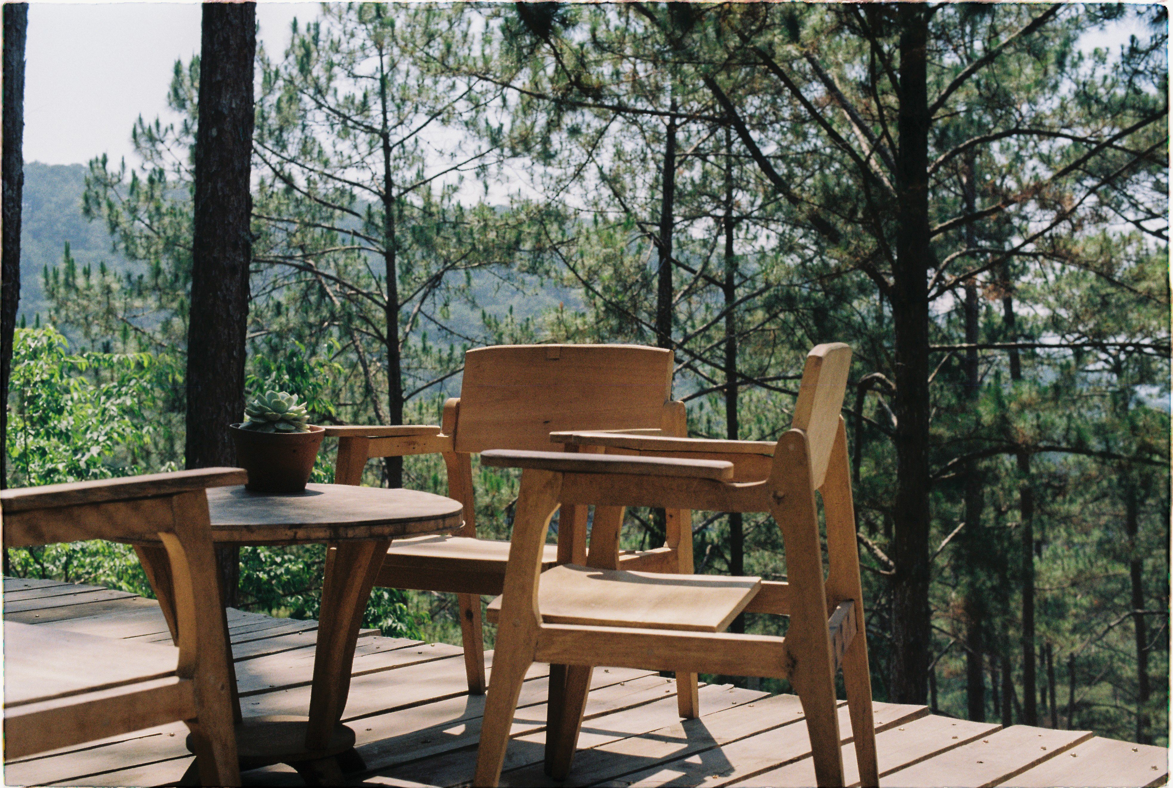 Wooden patio with chairs and a table overlooking a lush forest